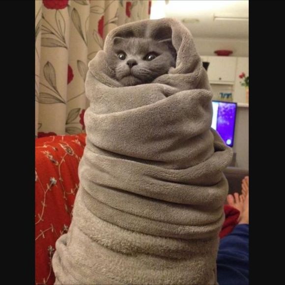 Meet your Posher, Kevin - Picture 1 of 1